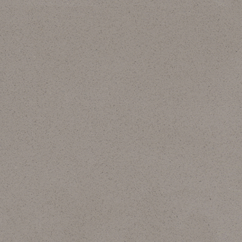 Dim Gray